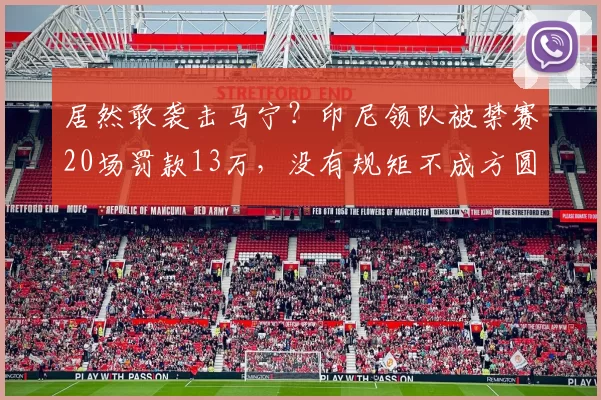 居然敢袭击马宁？印尼领队被禁赛20场罚款13万，没有规矩不成方圆
